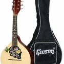 Givson 8 Strings Mandolin with bag