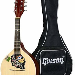 givson mandolin